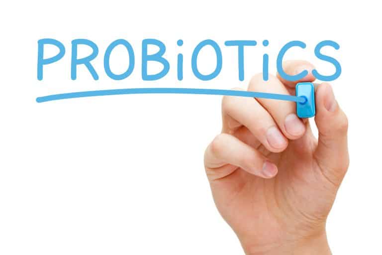 Beginner’s Guide to Probiotics