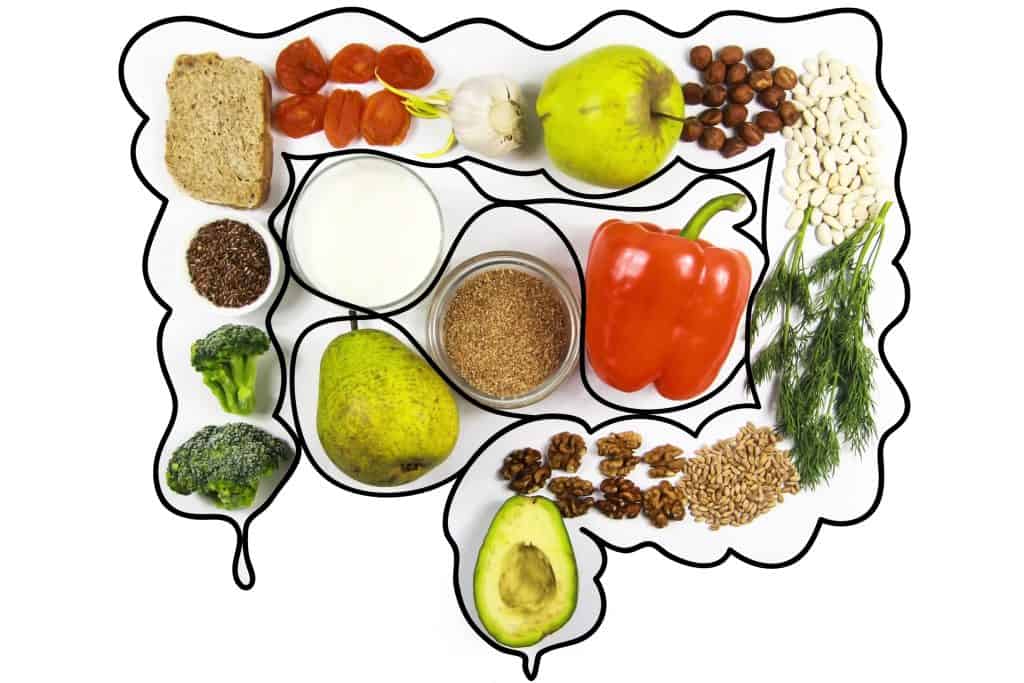 Increase Bifidobacteria into your diet by the selection of the right foods