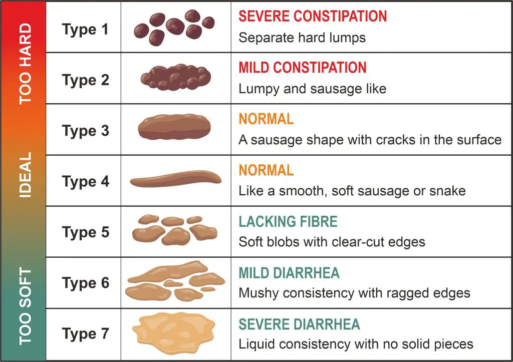 The Bristol Stool Chart Scale to Identify your Poo - what does diarrhea look like