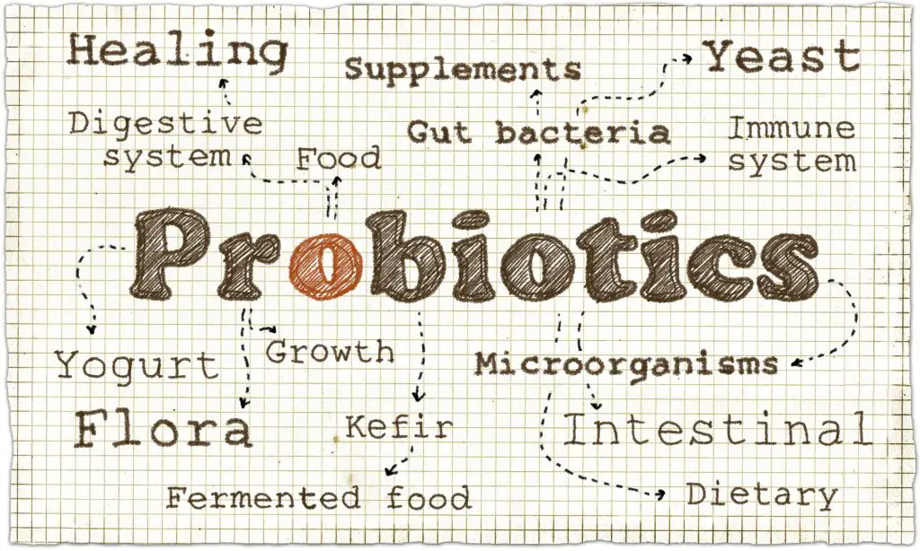 Illustration about what are Probiotics - a guide to probiotics