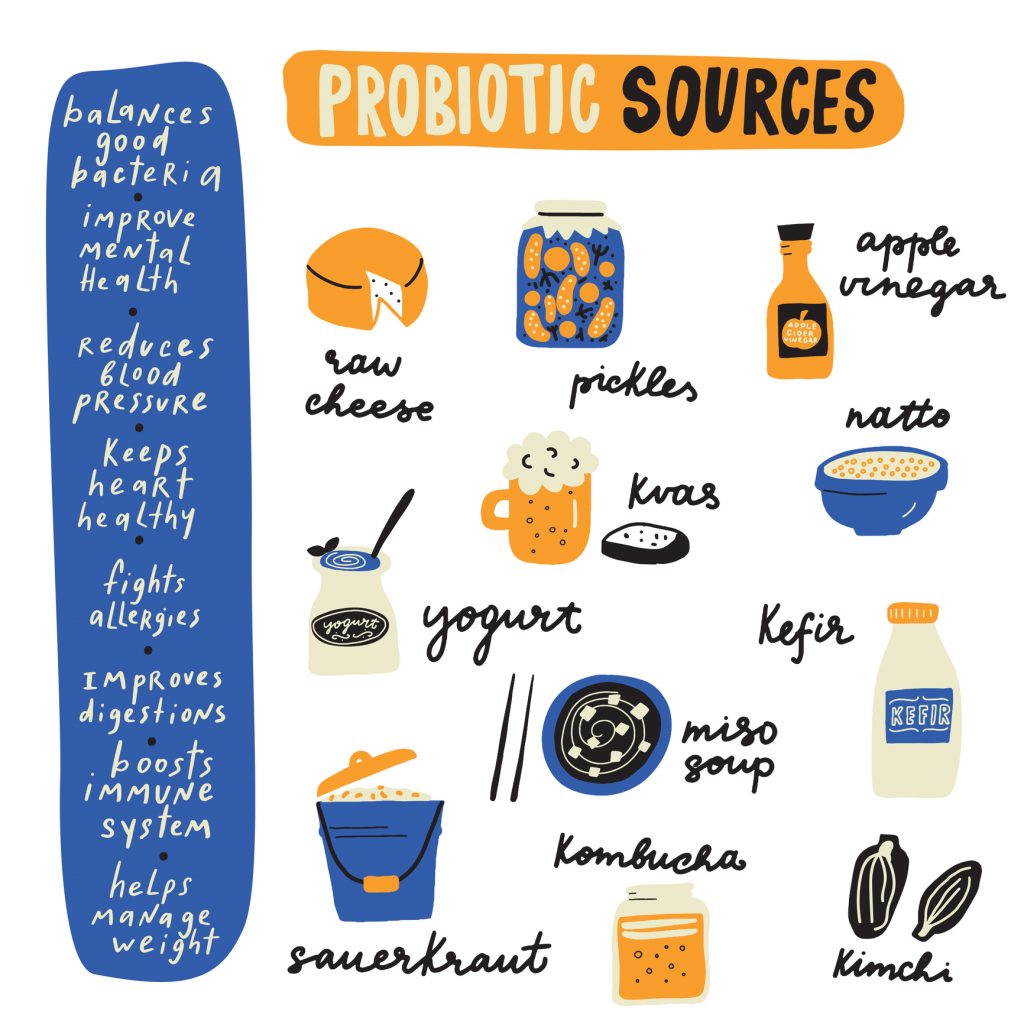 Probiotic sources from fermented foods - health benefits of probiotics