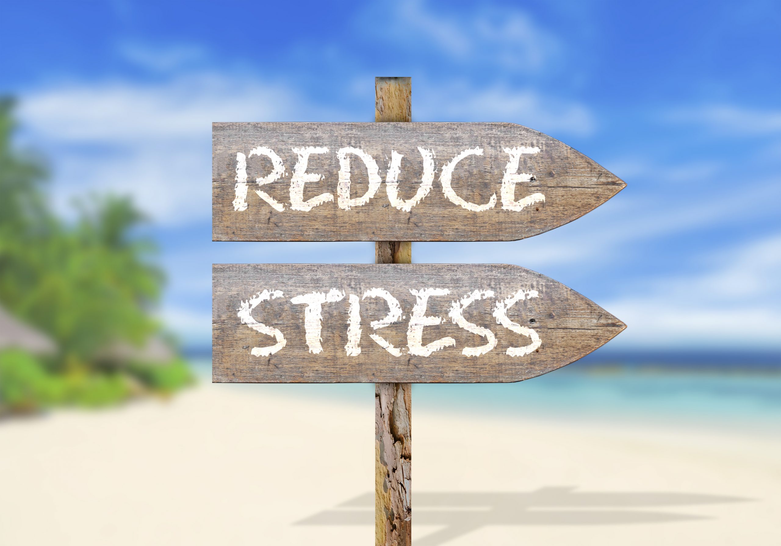 Reduce stress in your life by taking probiotics to help reduce stress