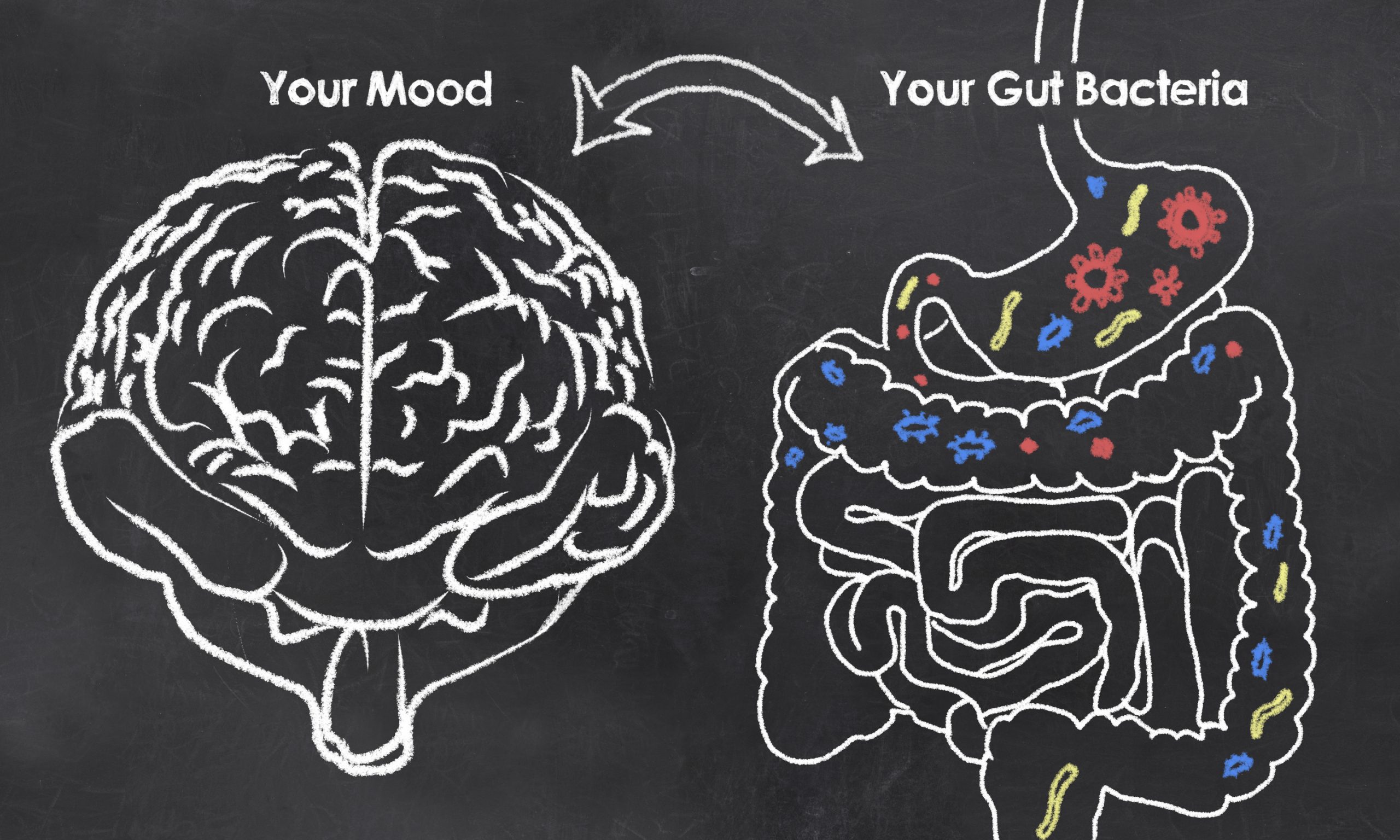 Your mood is directly affected by your gut health