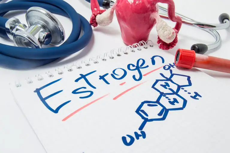 Can Probiotics Help with Estrogen Levels?