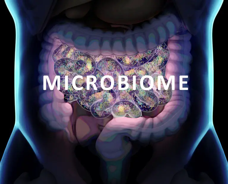 Are probiotics beneficial for the microbiome?