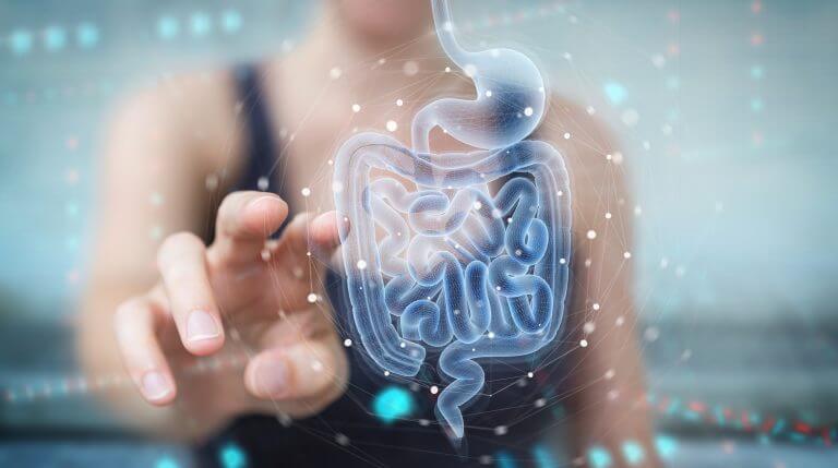 Are Probiotics Good for Digestive Health?