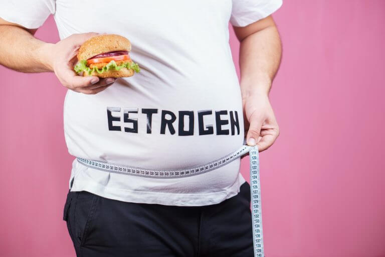 Can probiotics increase estrogen levels in the body?
