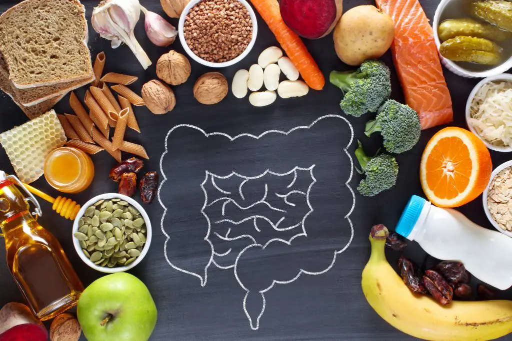 Understand what happens to your gut when you fast